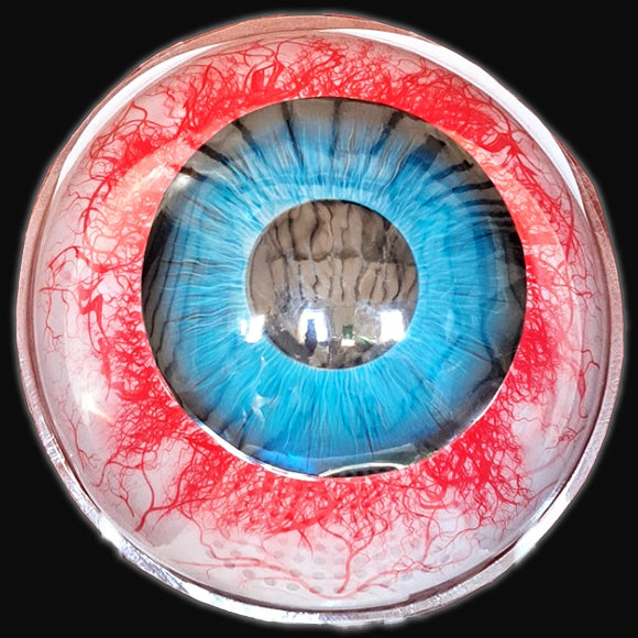 Giant Eyeball 20-Inch Diameter Wall Hanging Light Halloween Decoration