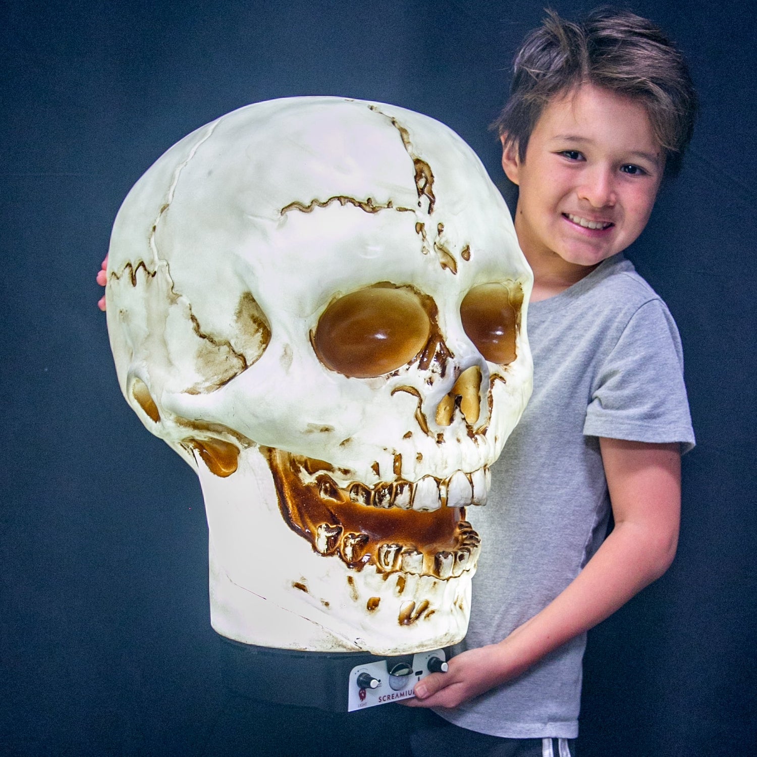 Best Selling Halloween Decorations