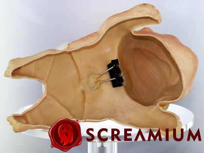 Shoulder Buddy Halloween Accessory - Baby President