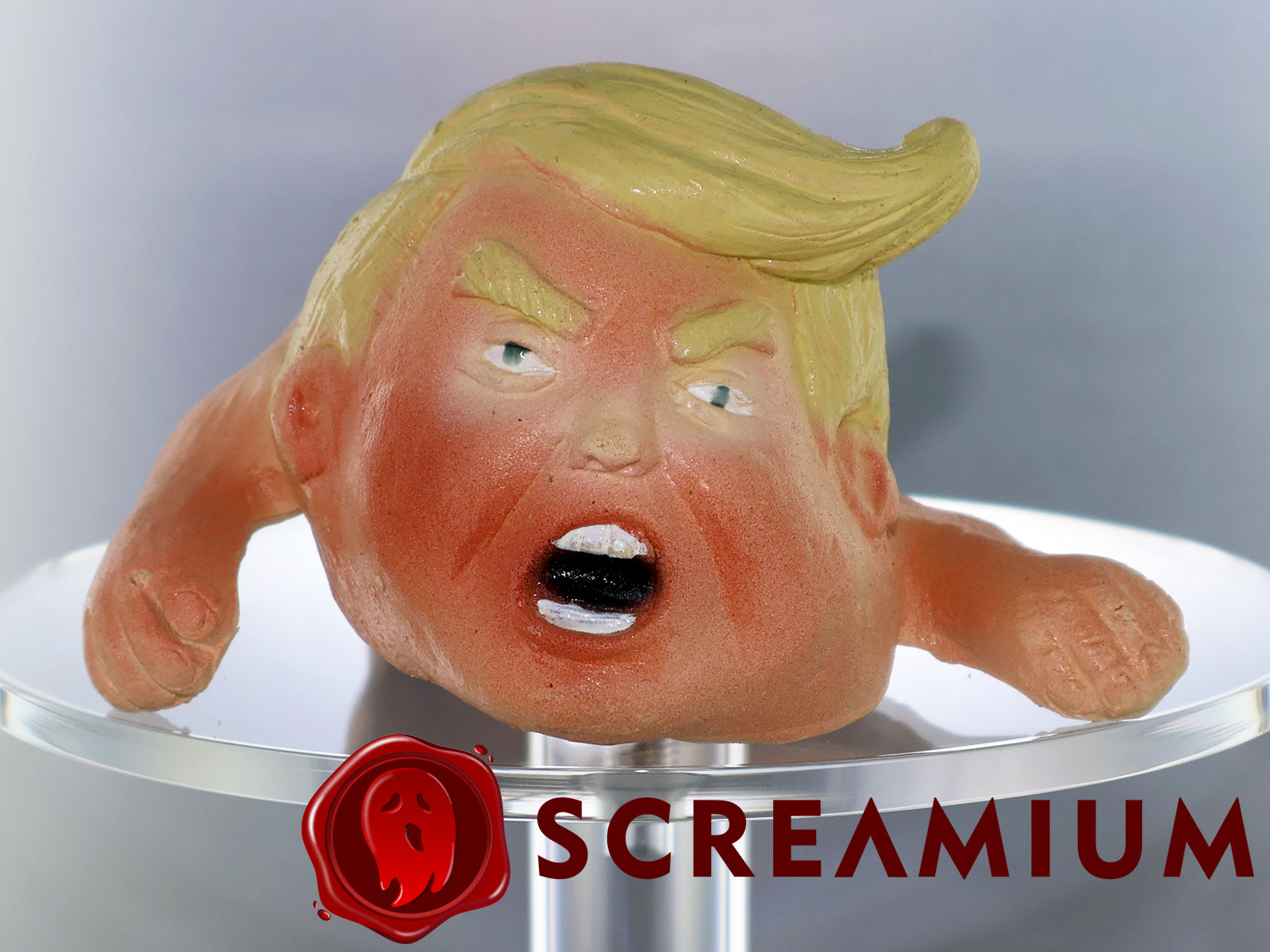 Shoulder Buddy Halloween Accessory - Baby President