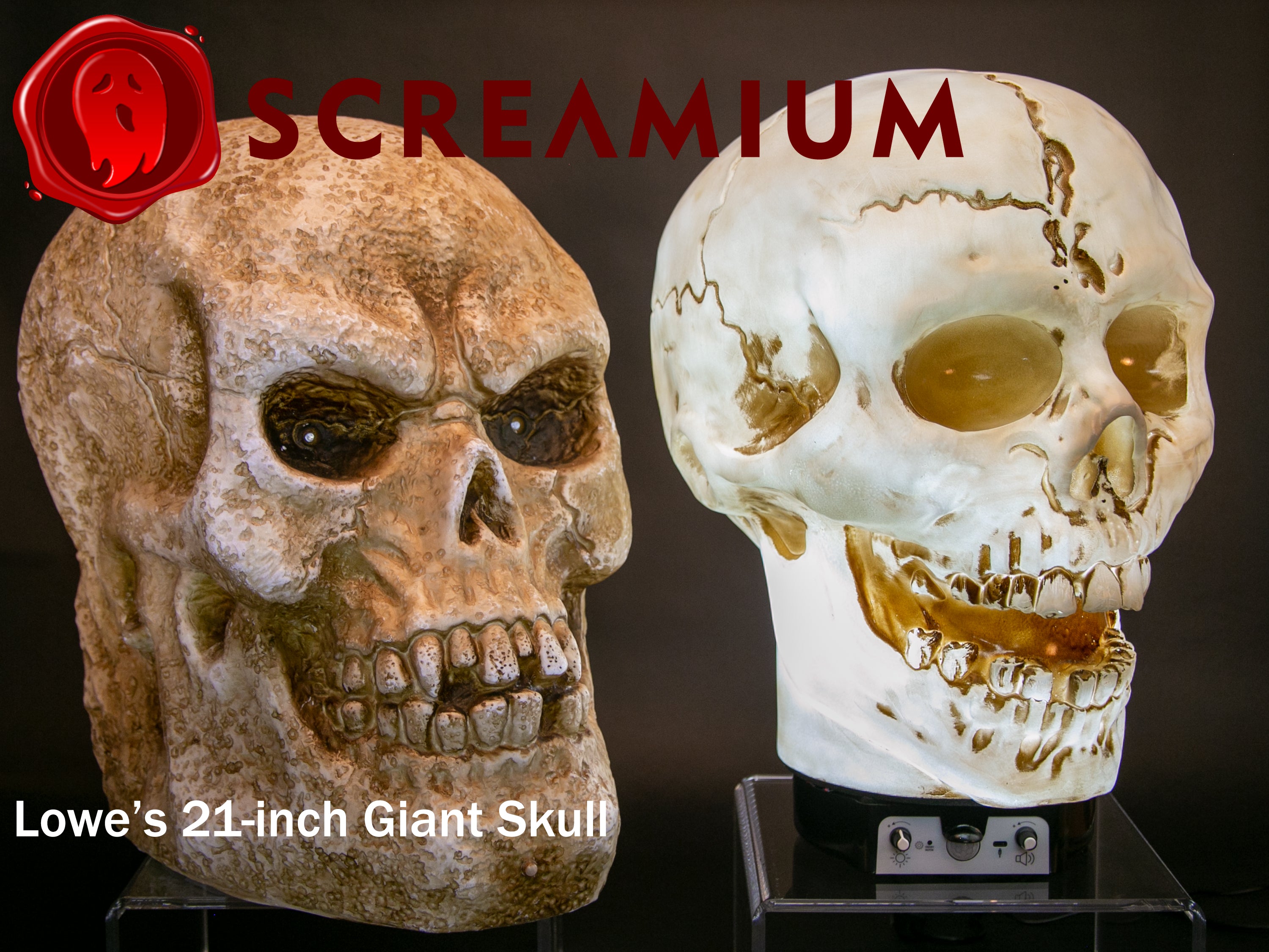 Giant Skull Animatronic Prop 20-Inch-Tall Halloween Decoration