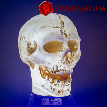 Giant Skull Animatronic Prop 20-Inch-Tall Halloween Decoration