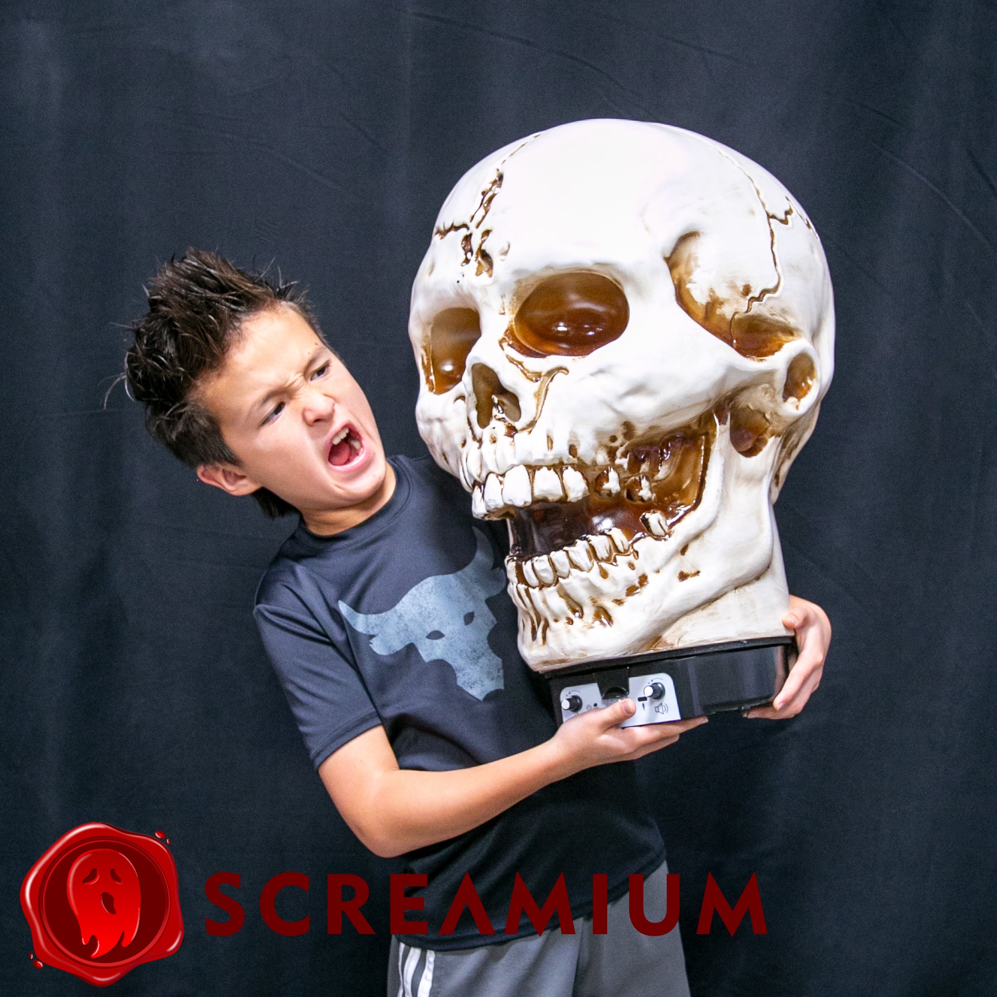 Giant Skull Animatronic Prop 20-Inch-Tall Halloween Decoration