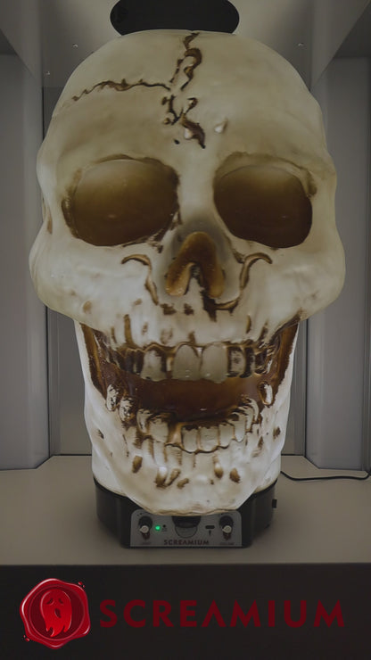 Giant Skull Animatronic Lamp Prop 20-Inch-Tall Heavy Duty Polyresin Halloween Decoration