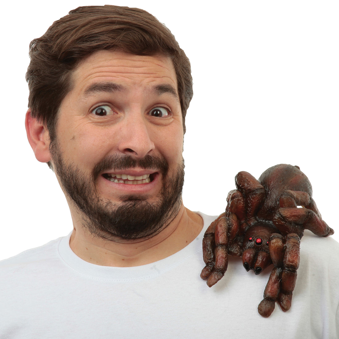 Shoulder Buddy Halloween Accessory - Tarantula Spider
