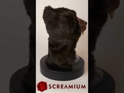 Cocaine Bear Costume - Brown Bear Helmet and Paws